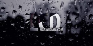 Cara Merawat LCD Laptop Agar Tetap Awet dan Tahan Lama