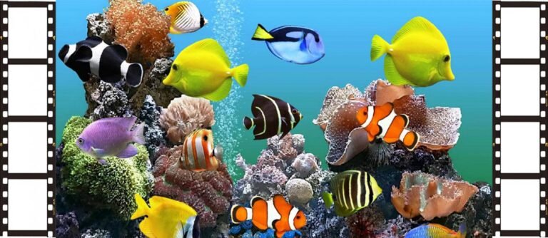 Cara Mudah Buat Wallpaper Bergerak di Windows